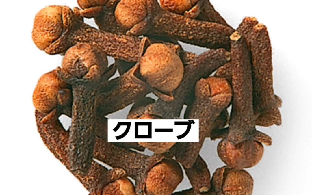 クローブ　｢丁子｣