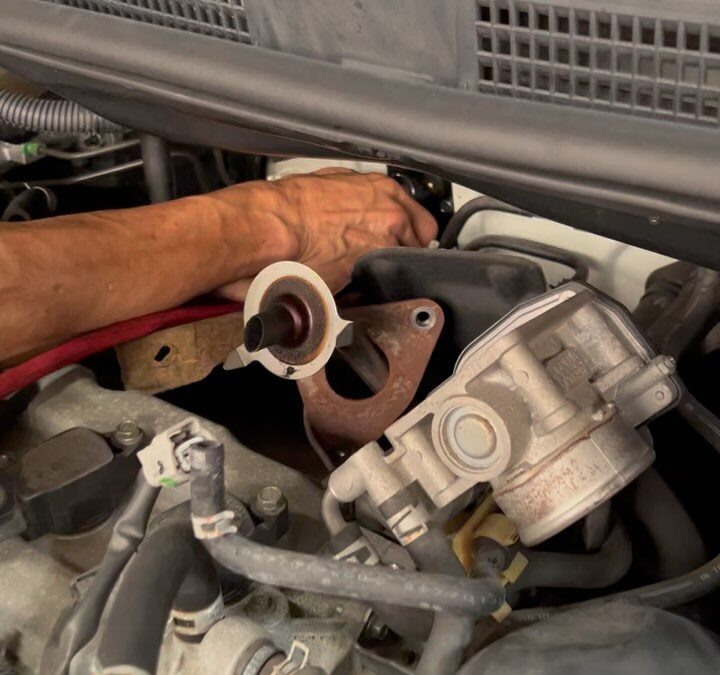 ⭐︎キャンペーン⭐︎