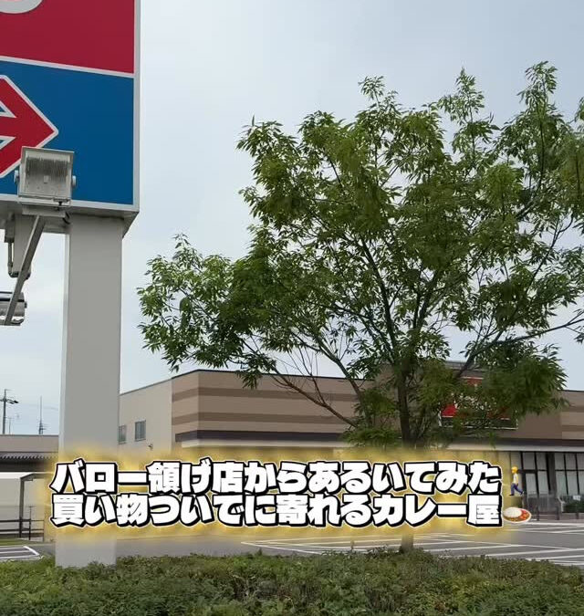 こんにちは♪